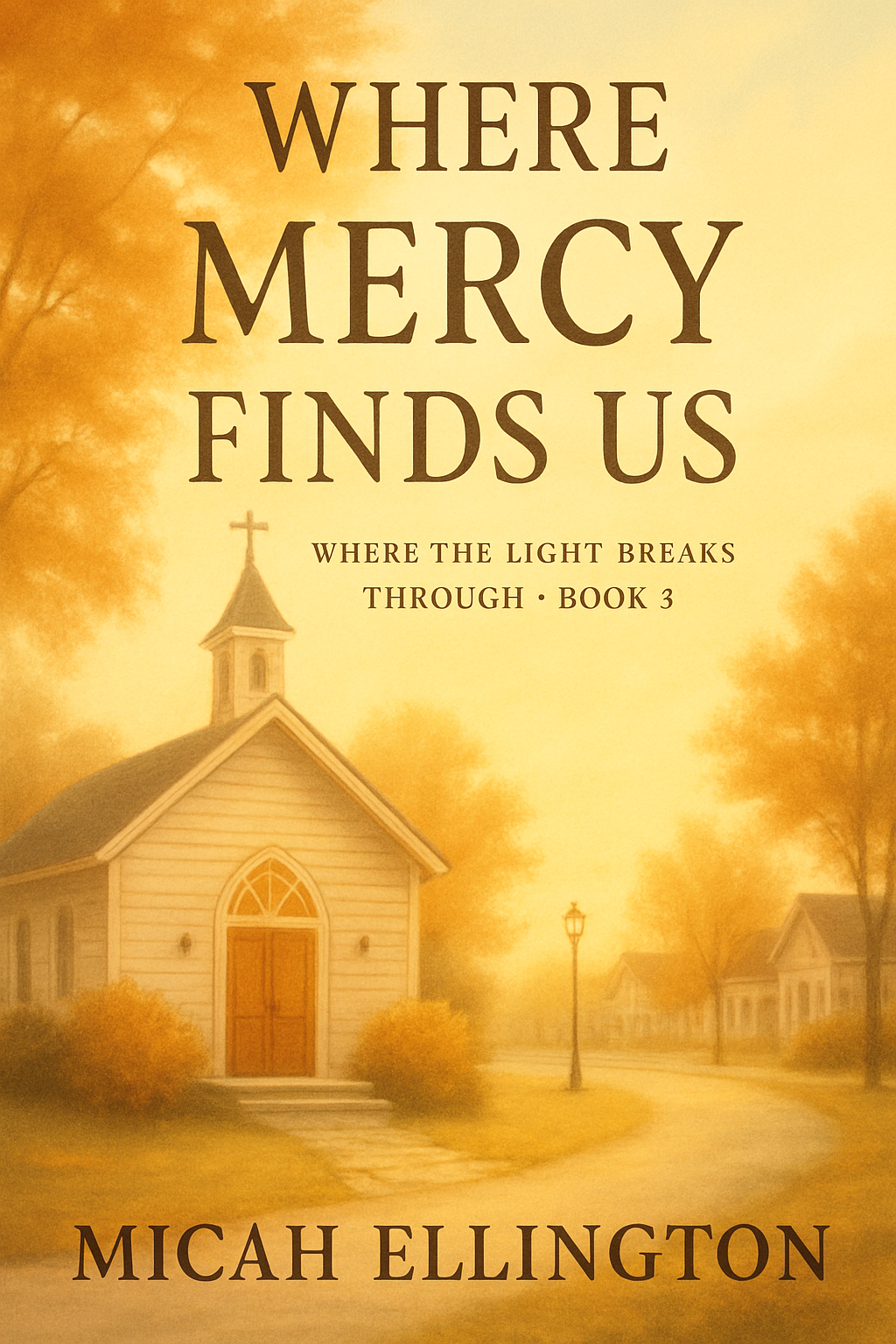 Cover of Where Mercy Finds Us